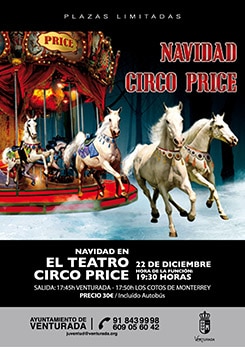 Cartel Circo Price Navidad 2014