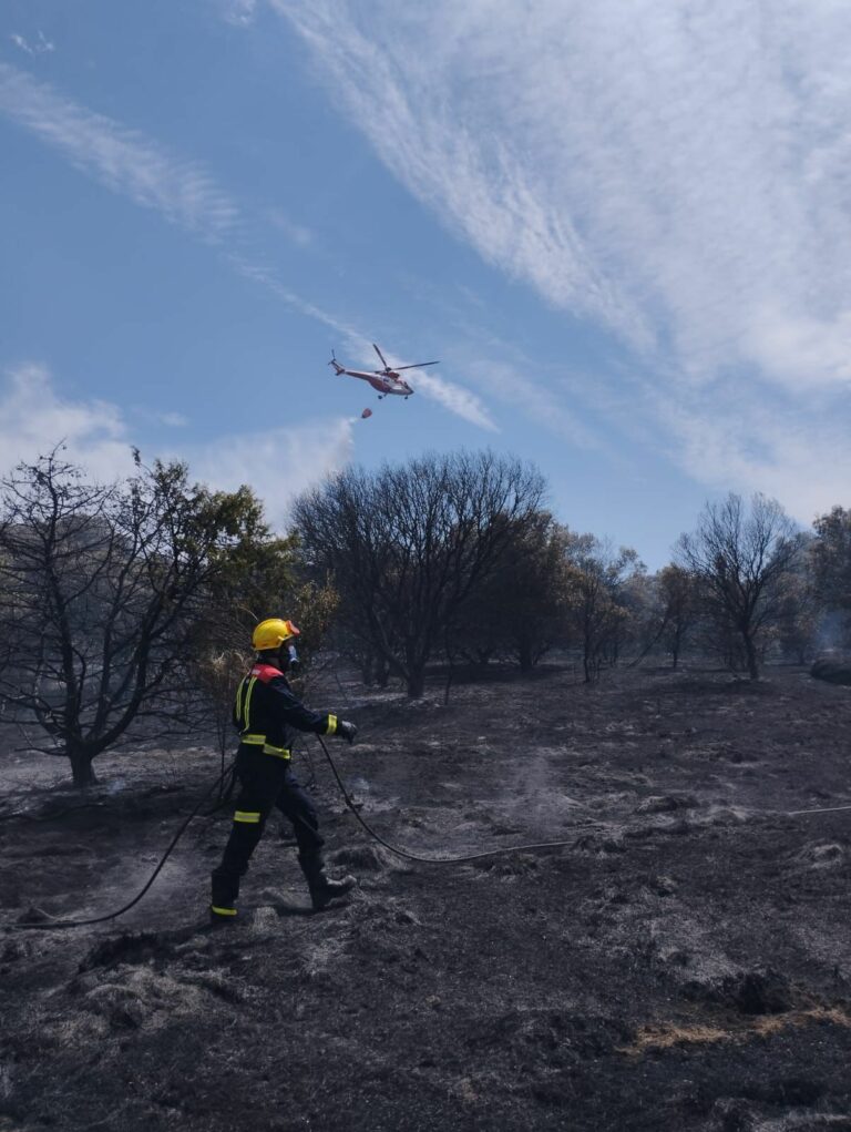 INCENDIO