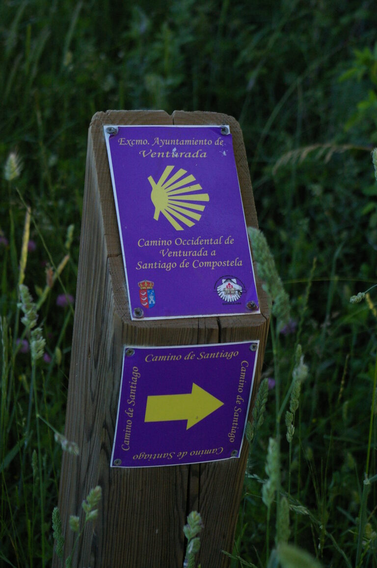 CAMINO SANTIAGO