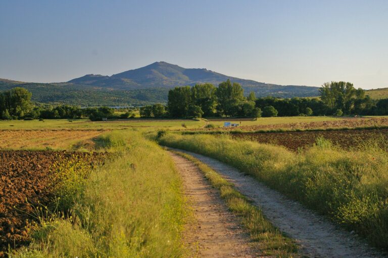 PAISAJE
